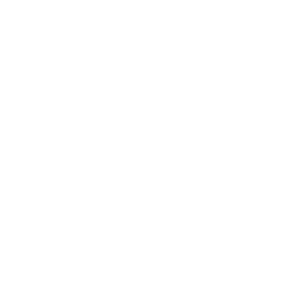 ALIMENTOS POLAR